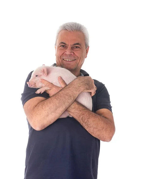 Pink Miniature Pig Man Front White Background — Stock Photo, Image