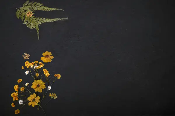 写满了花和植物的空间文字的石板 — 图库照片