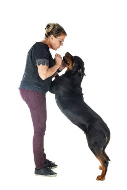 safkan Rottweiler ve beyaz arkaplanın önündeki kadın