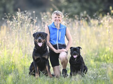 İtaat disiplini için köpek eğitimi.