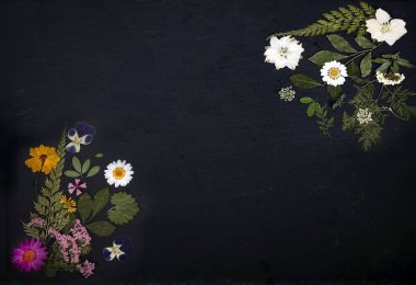 Çiçek ve bitkilerle dolu boşluk metni