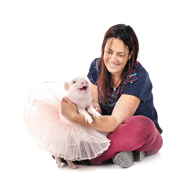 Pink Miniature Pig Woman Front White Background — Stock Photo, Image