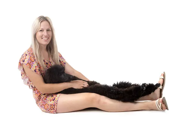 New dog knotting woman Stock Photos, Royalty Free New dog knotting ...