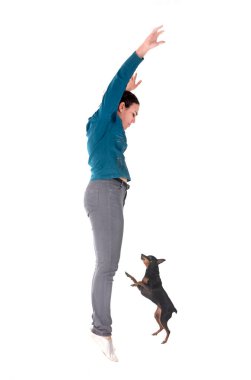 Beyaz arka planda minyatür pinscher ve kadın