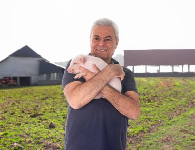 Pembe genç domuz ve adam tarlaların ve çiftliğin önünde