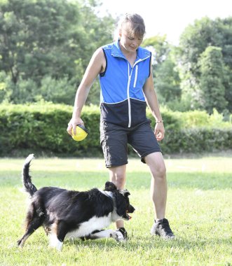 İtaat için köpek eğitimi. Doğada çoban köpeği disiplini var.