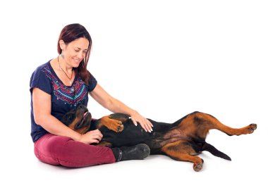 safkan Rottweiler ve beyaz arkaplanın önündeki kadın