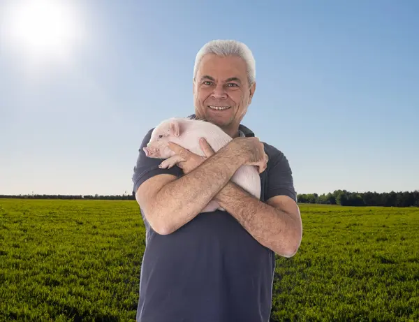 Pink Young Pig Man Front Fields Farm — Stock Photo, Image