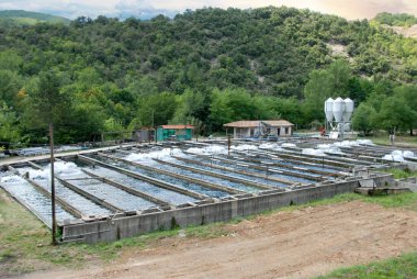 Balıkçılık doğanın arka planında