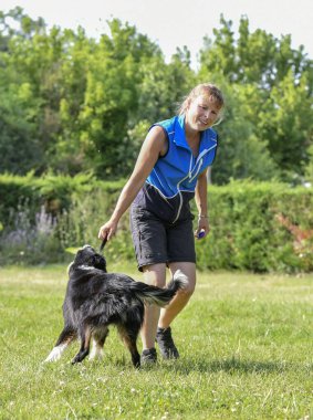 İtaat için köpek eğitimi. Doğada çoban köpeği disiplini var.