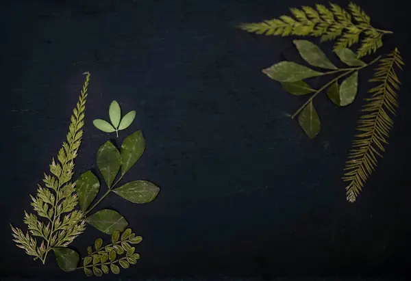 Pala Helyszöveggel Virággal Növényekkel Stock Kép