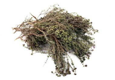 Beyaz arkaplan önünde timus vulgaris