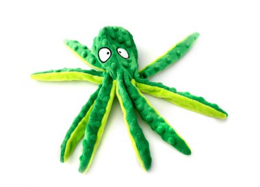 Beyaz arkaplanın önünde yeşil ahtapot