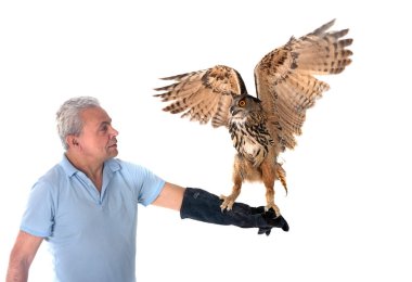 Eurasian eagle-owl in front of white background clipart