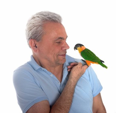 Black-headed parrot in front of white background clipart