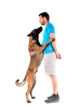 Beyaz arka planda Belçikalı çoban ve adam