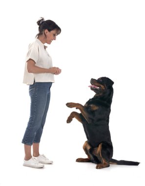 safkan Rottweiler ve beyaz arkaplanın önündeki kadın