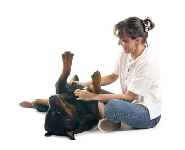 safkan Rottweiler ve beyaz arkaplanın önündeki kadın