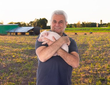 Pembe genç domuz ve adam tarlaların ve çiftliğin önünde
