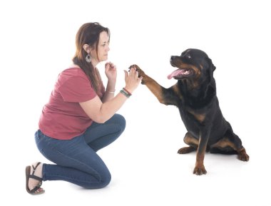 safkan Rottweiler ve beyaz arkaplanın önündeki kadın