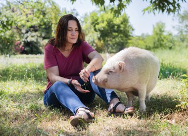 pink miniature pig and farmer in the garden in summer clipart