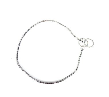 Beyaz arkaplan önünde köpek tasması