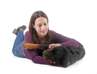 Beyaz arkaplan önünde safkan rottweiler