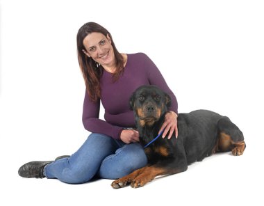 Beyaz arkaplan önünde safkan rottweiler