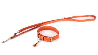 beyaz arka plan önünde deri tasma