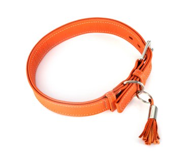 Beyaz arkaplan önünde deri yaka