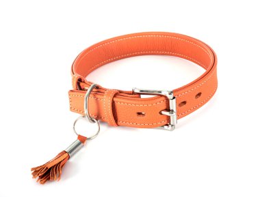 Beyaz arkaplan önünde deri yaka