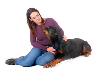 Beyaz arkaplan önünde safkan rottweiler