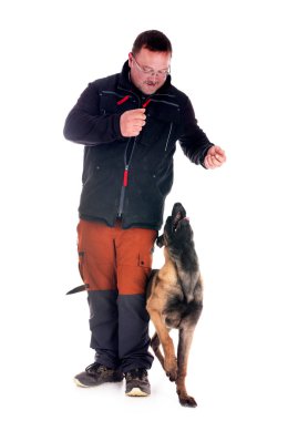 Genç Belçikalı çoban ve sahibi beyaz arka planda.