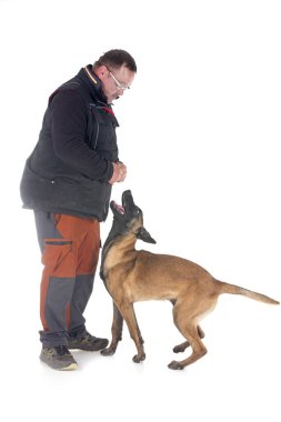 Genç Belçikalı çoban ve sahibi beyaz arka planda.