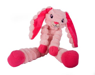 Beyaz arkaplan önünde köpek oyuncağı