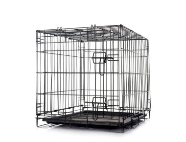 Beyaz arka plan önünde evde beslenen hayvan taşıyıcı