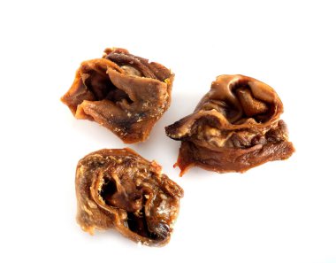 Beyaz arka plandaki köpek için tatlı