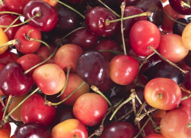 Beyaz arka plan önünde taze kiraz