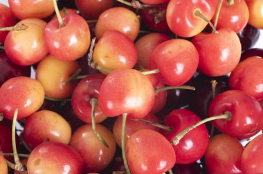 Beyaz arka plan önünde taze kiraz