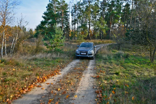 Ukrajina Novomoskovsk Město10 2022 Audi Mimo Město Jezdí Lesních Cestách — Stock fotografie