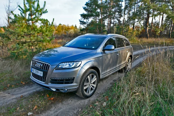 Ukraine Novomoskovsk City 2022 Audi City Drives Forest Roads Autumn — Stock Photo, Image