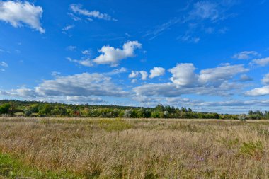 Doğu Ukrayna 'nın düzlüklerinin ve ormanlarının güzel manzaraları