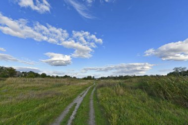 Doğu Ukrayna 'nın düzlüklerinin ve ormanlarının güzel manzaraları