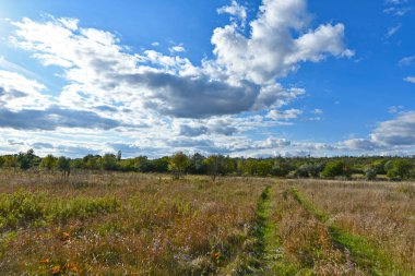Doğu Ukrayna 'nın düzlüklerinin ve ormanlarının güzel manzaraları