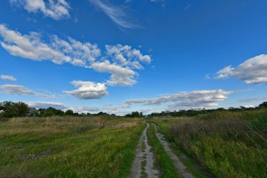 Doğu Ukrayna 'nın düzlüklerinin ve ormanlarının güzel manzaraları