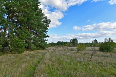 Doğu Ukrayna 'nın düzlüklerinin ve ormanlarının güzel manzaraları