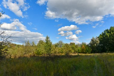 Doğu Ukrayna 'nın düzlüklerinin ve ormanlarının güzel manzaraları