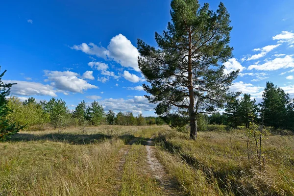 Beautiful Landscapes Plains Forests Eastern Ukraine — Stock Photo, Image