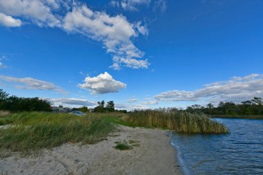 Doğu Ukrayna 'nın düzlüklerinin ve ormanlarının güzel manzaraları