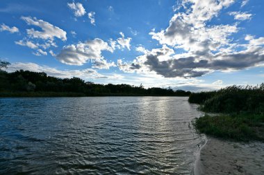 Doğu Ukrayna 'nın düzlüklerinin ve ormanlarının güzel manzaraları